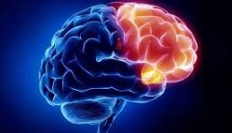 Neurology